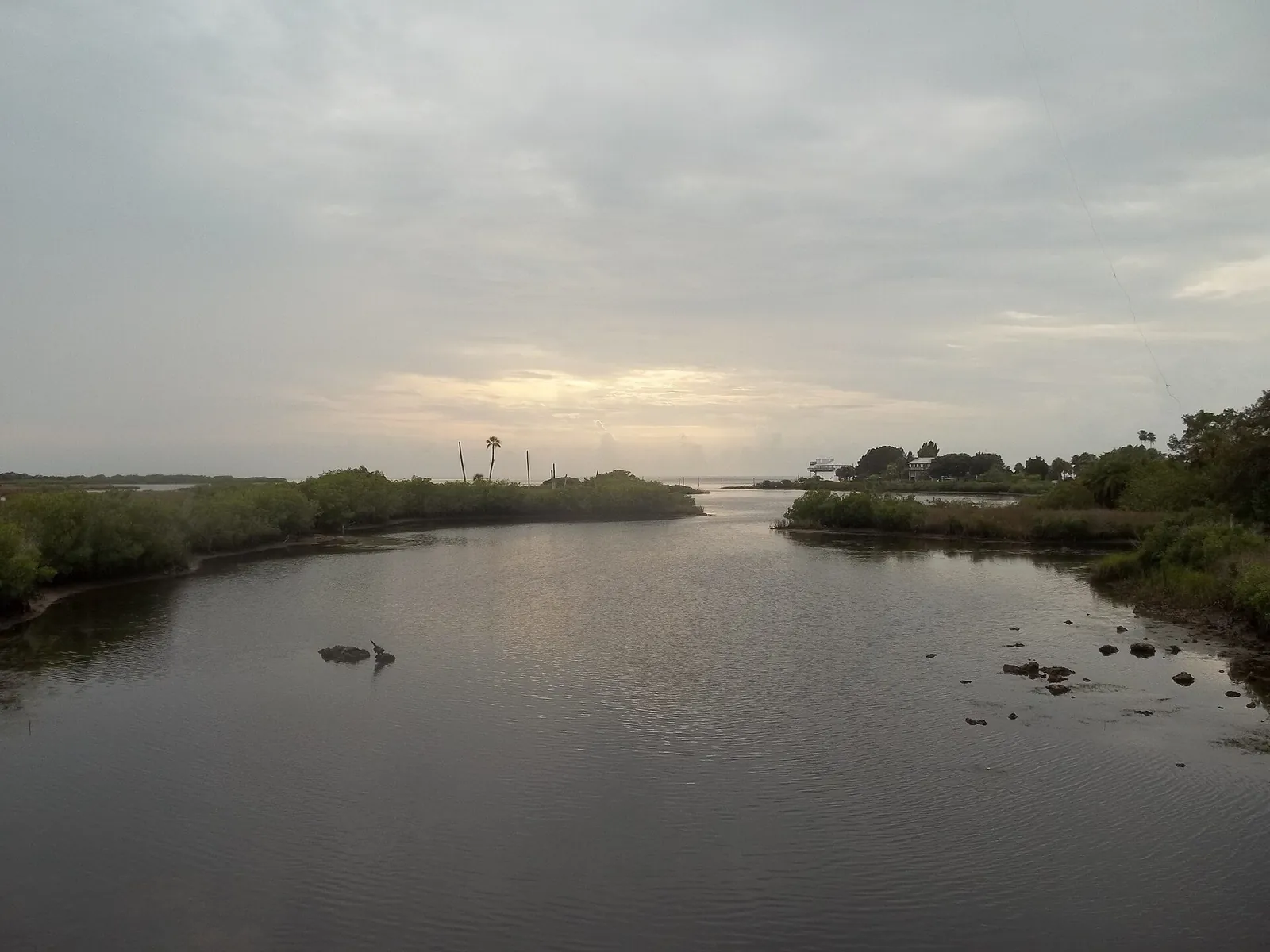 Evening light on Hammock Creek in Aripeka
