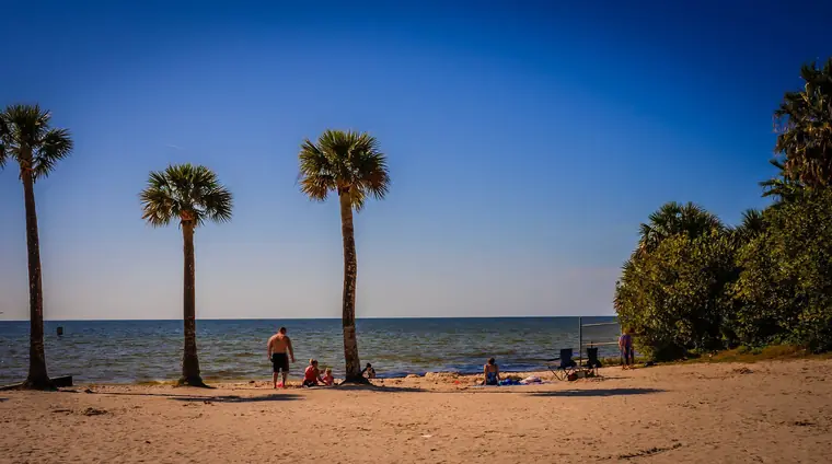 Palm trees on the sand at Pine Island Beach on the Gulf of Mexico