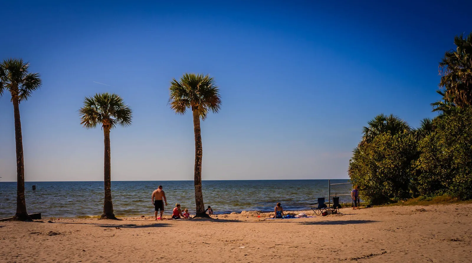 Palm trees on the sand at Pine Island Beach on the Gulf of Mexico